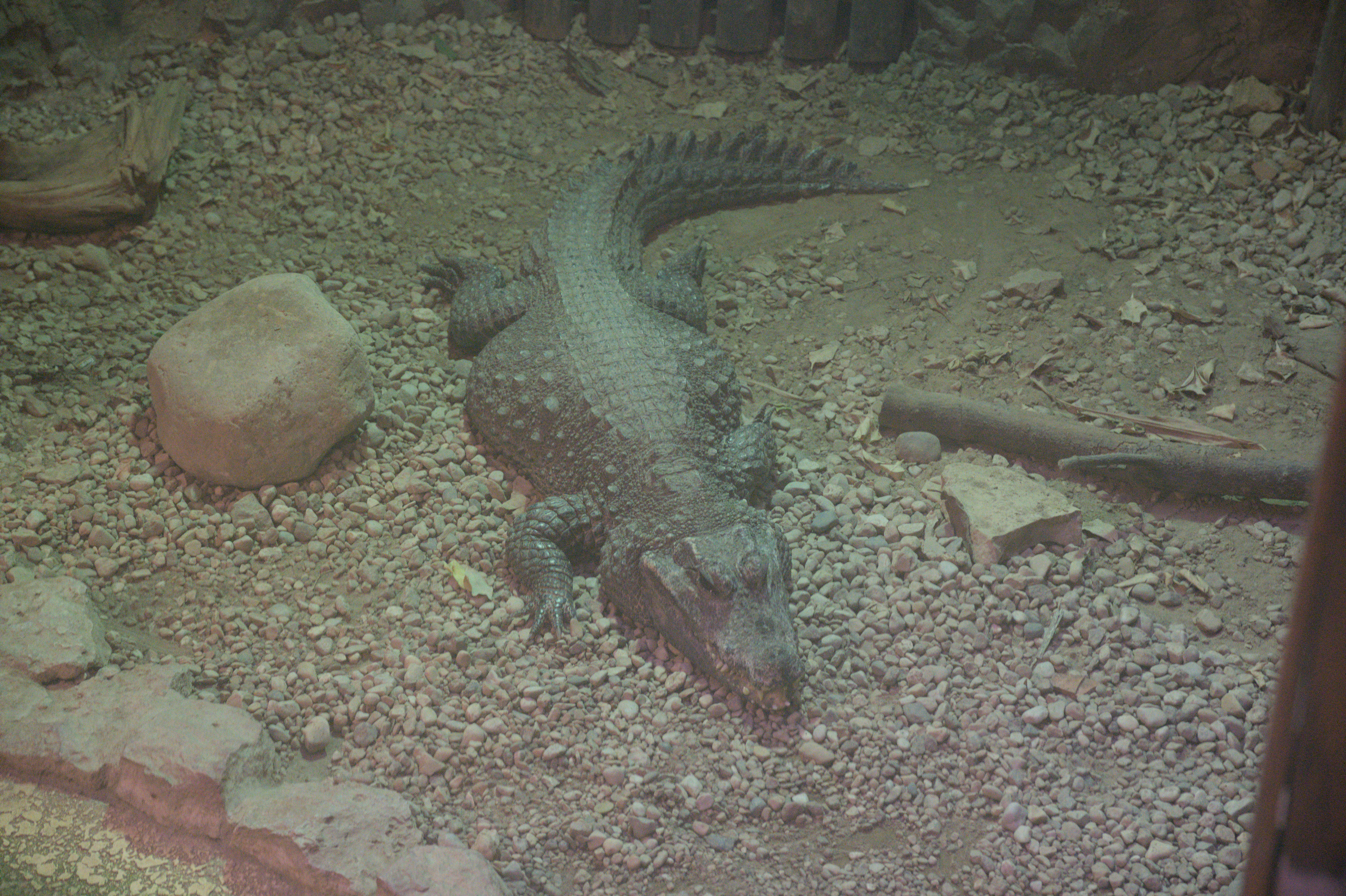 2025/10/12 - zoo/DSC_0153.jpg